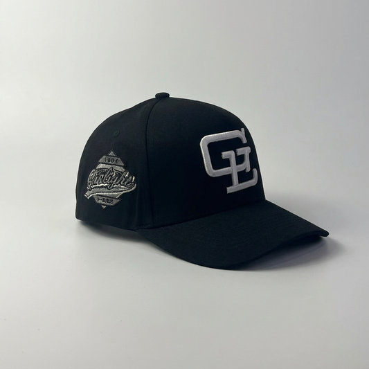 "WORLD SERIES SNAPBACK" GREY SCALE